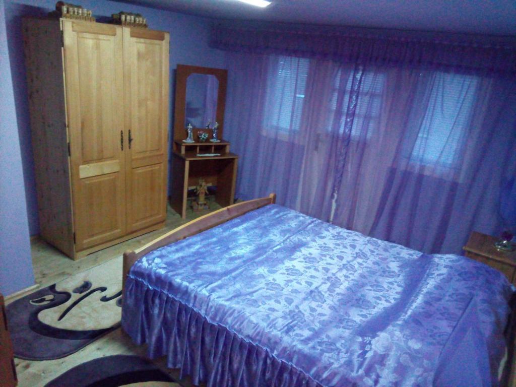 Отель Pensiunea Daiana, фото 12