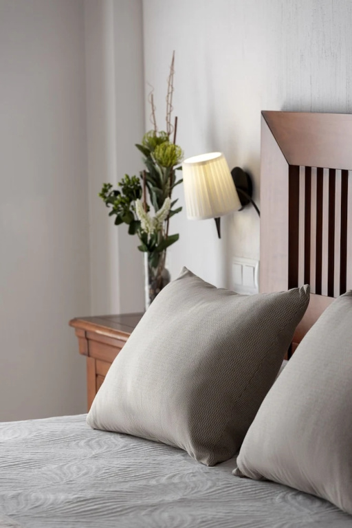 Standard Double room with mountain view (full double bed)