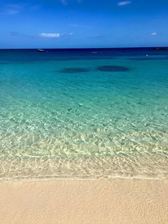Allamanda Beach Hotel - Général