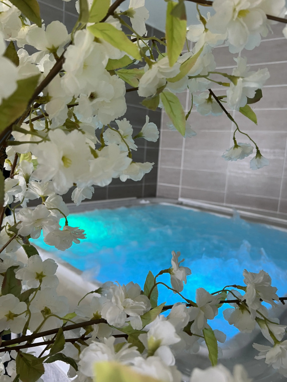 Calme des Pins Hôtel Piscine & Spa - Général