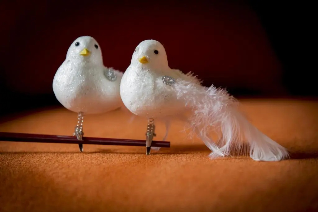 Two White Pigeons - Chambres