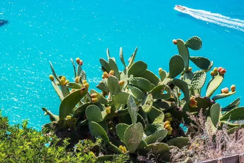 TH Capo Rizzuto - Asyla Resort
