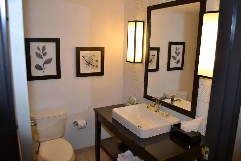 Country Inn & Suites by Radisson Roseville - St. Paul - Chambres
