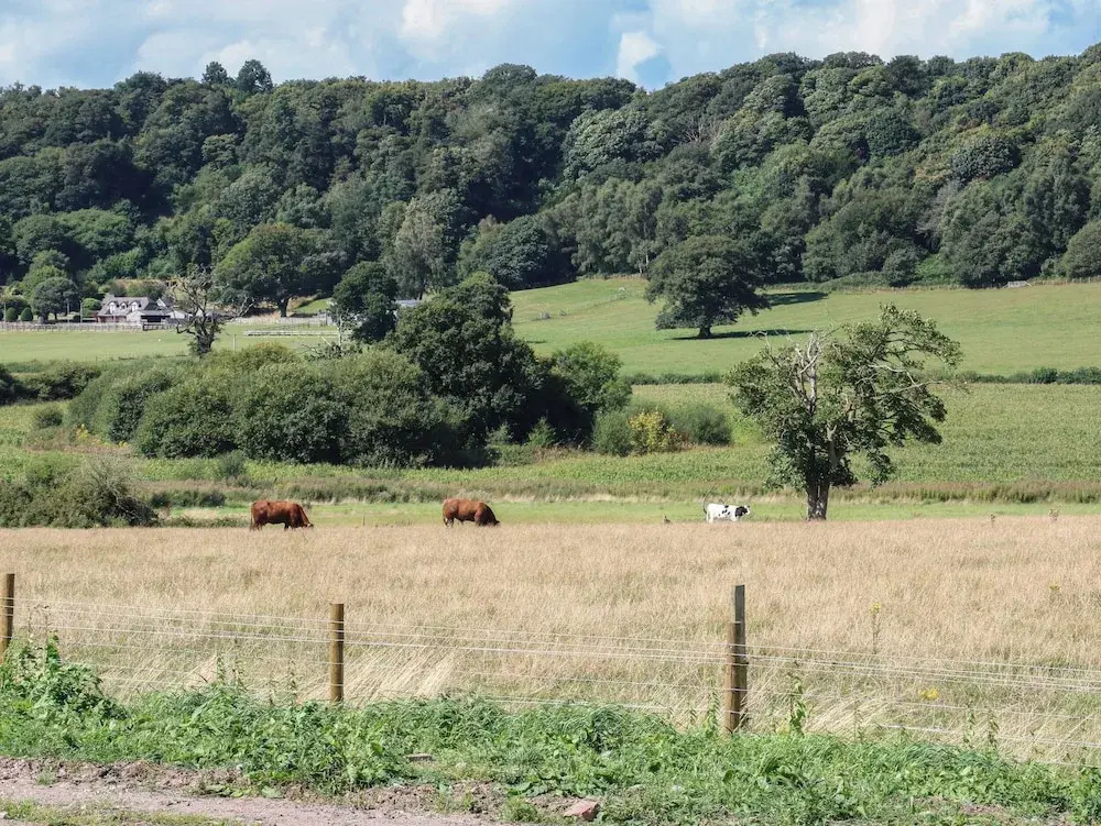 Hawkstone