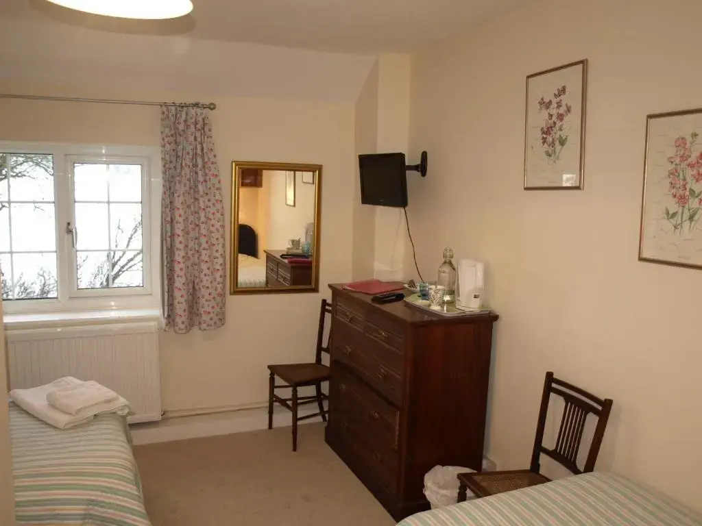 Standard Double room (twin beds)
