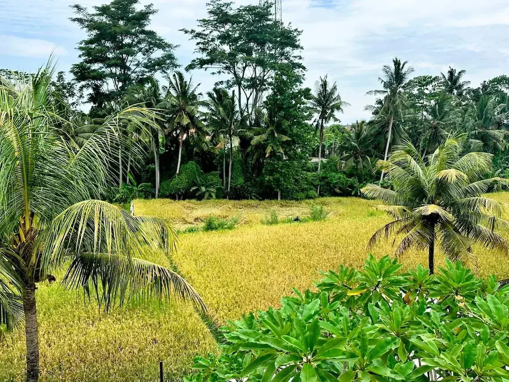 Vista Villa Ubud