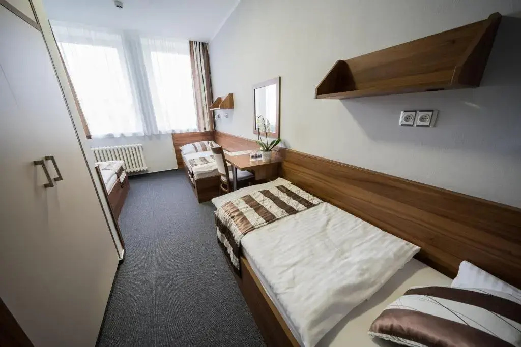 Hotel u Ledu - Chambres