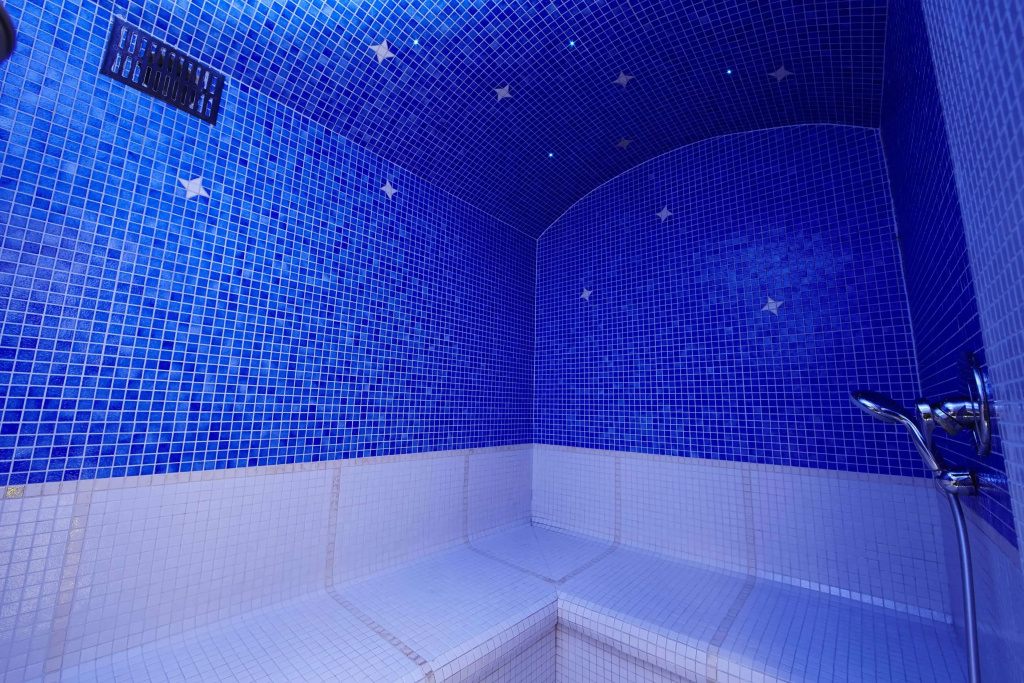 Best Western Plus Au Cheval Blanc Mulhouse Nord - Général