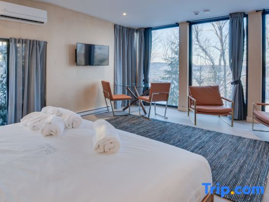 Bel Air Tremblant MINI ANTARCTICA : 1 LIT KING, JACUZZI, SAUNA