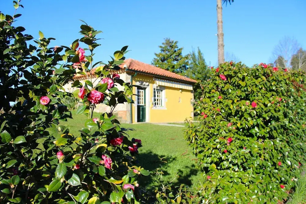 Cottage in Santa Comba With Pool