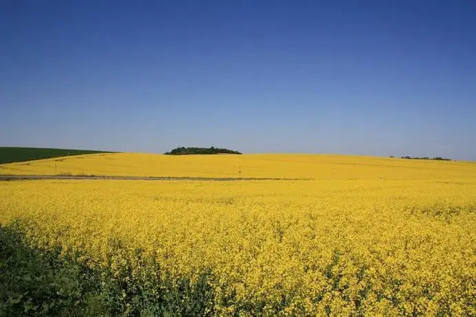 Image 25