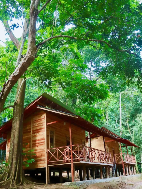 Paradise Eco Garden - Chambres