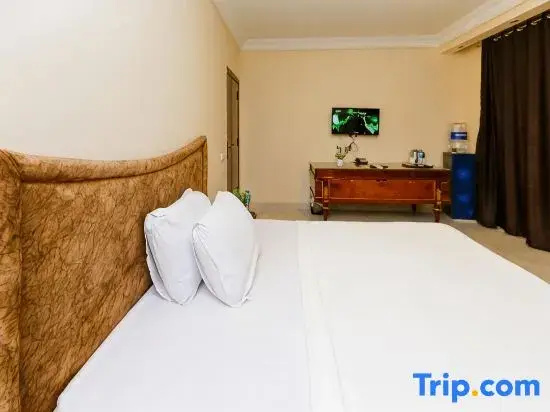 Standard Double room with balcony (full double bed)