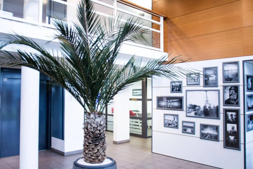 Zenitude Hotel-Residences Bordeaux Aeroport Merignac - Général