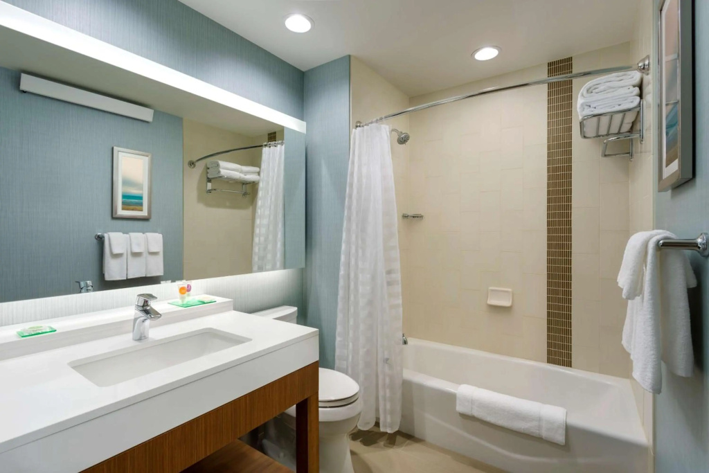Hyatt Place Chicago/Downtown - The Loop - Général