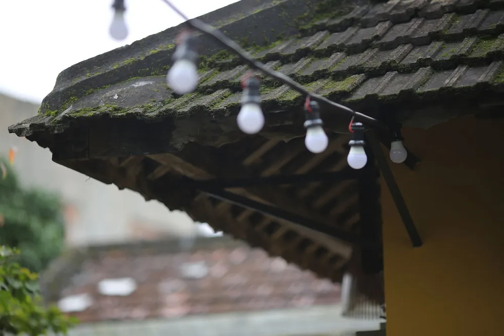 Lotus House Homestay