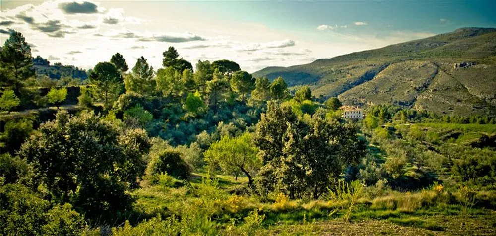 Vila De Muro - Général
