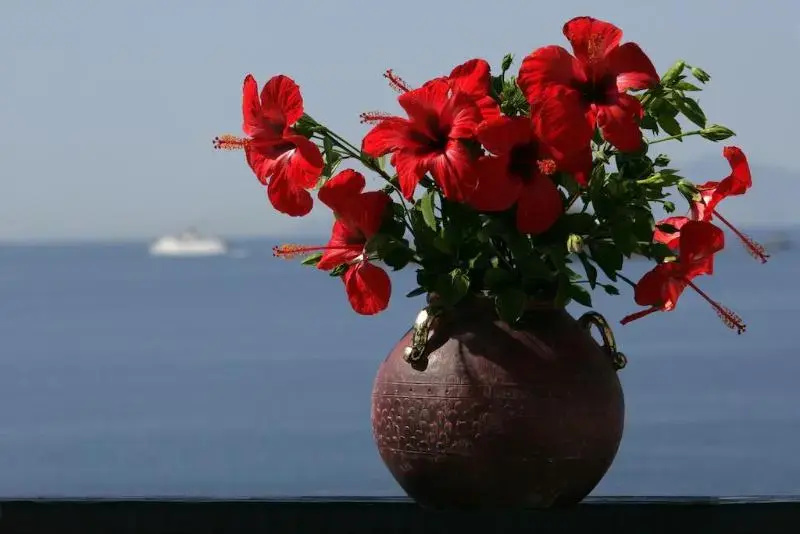 Andros Holiday - Chambres