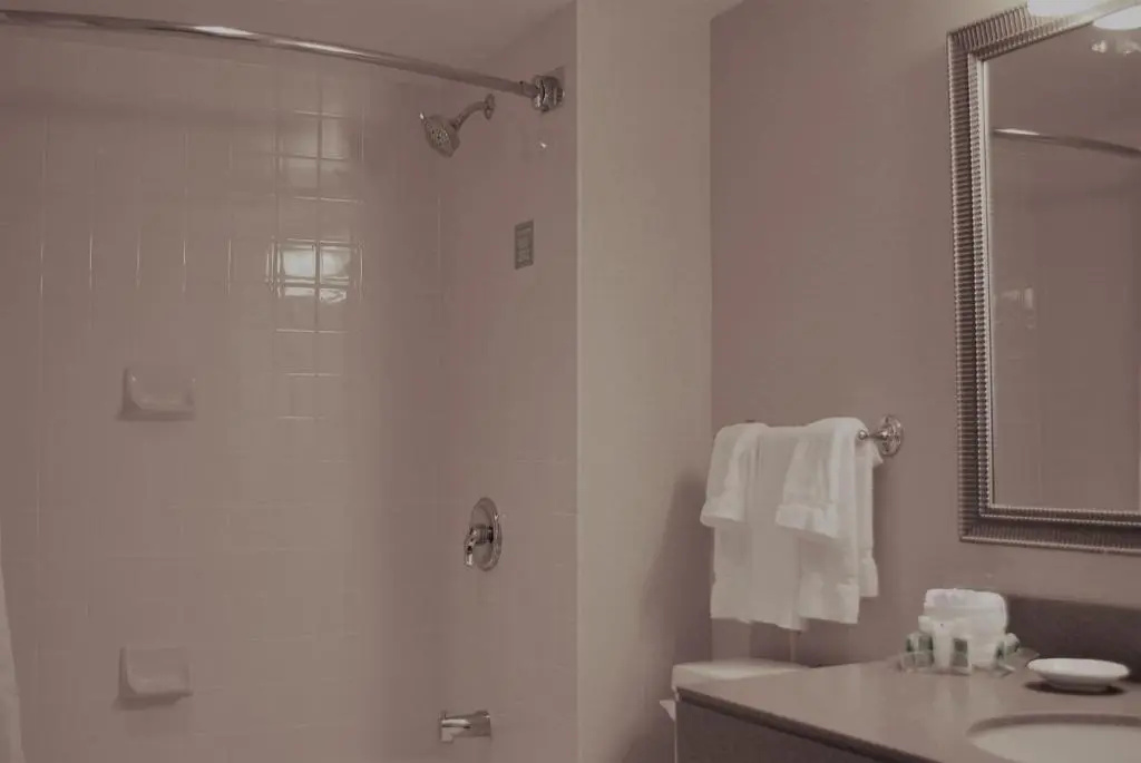 Holiday Inn Hotel & Suites Ottawa Kanata by IHG - Chambres