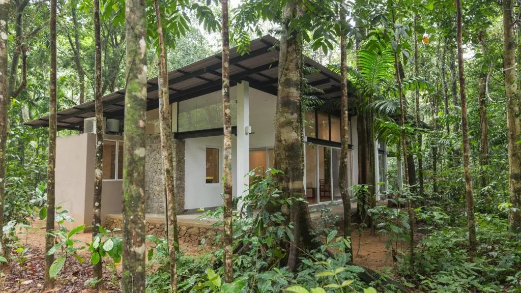 Palmstone Retreat - Kithulgala - Chambres