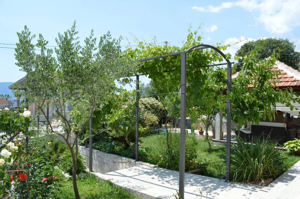 Apartments Adžić