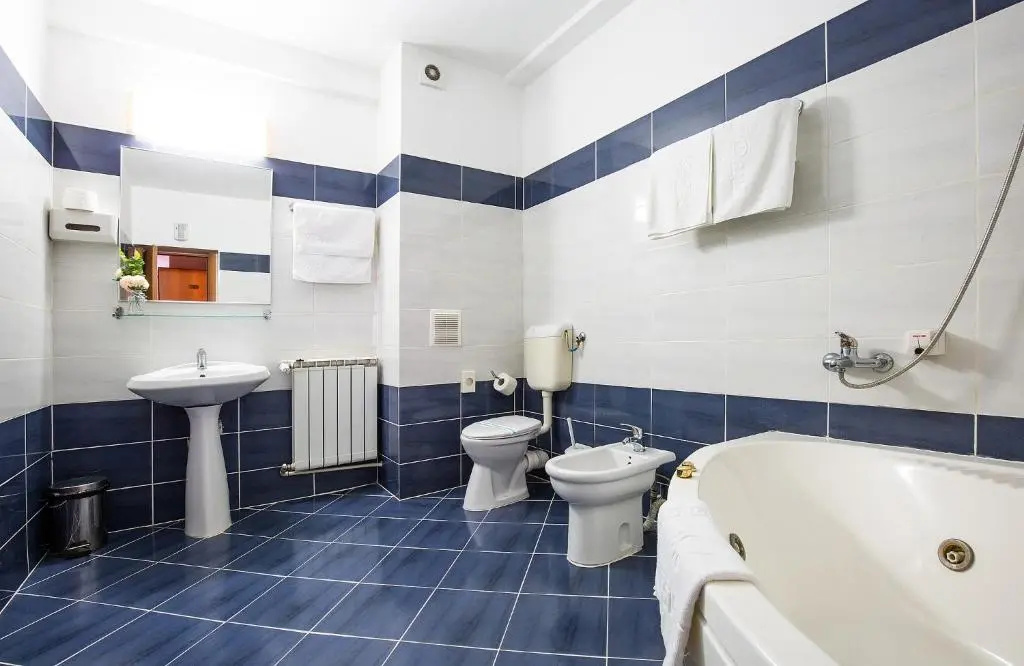 Hotel Dana - Chambres