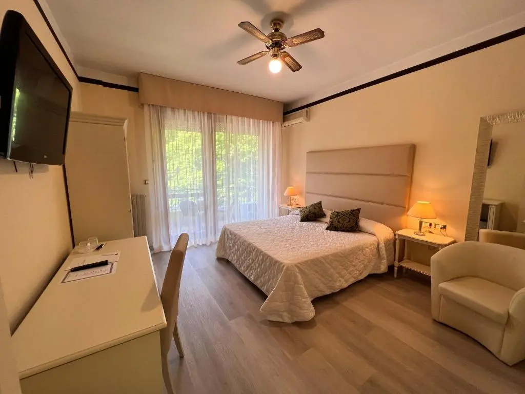 Standard Double room with mountain view (full double bed)