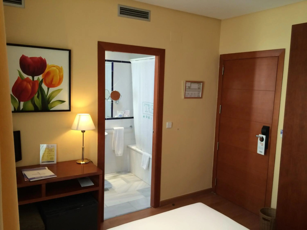 Hotel TRH Ciudad de Baeza - Général