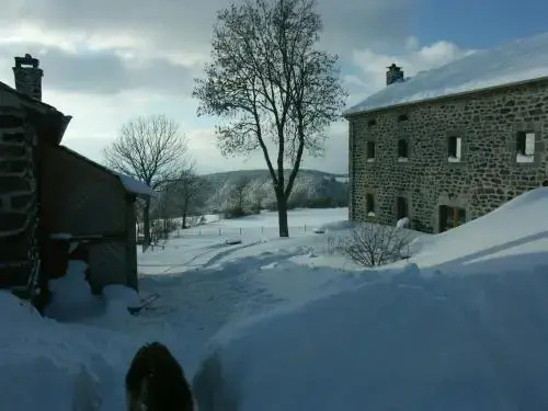 L'Herminette