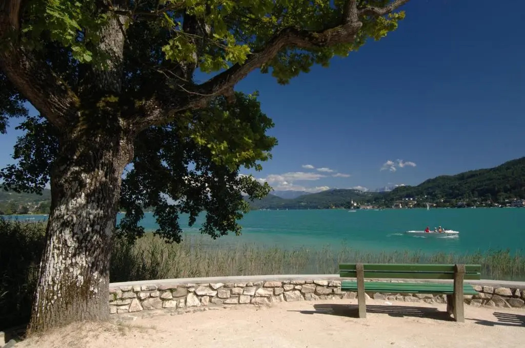 Beach & Waterfront