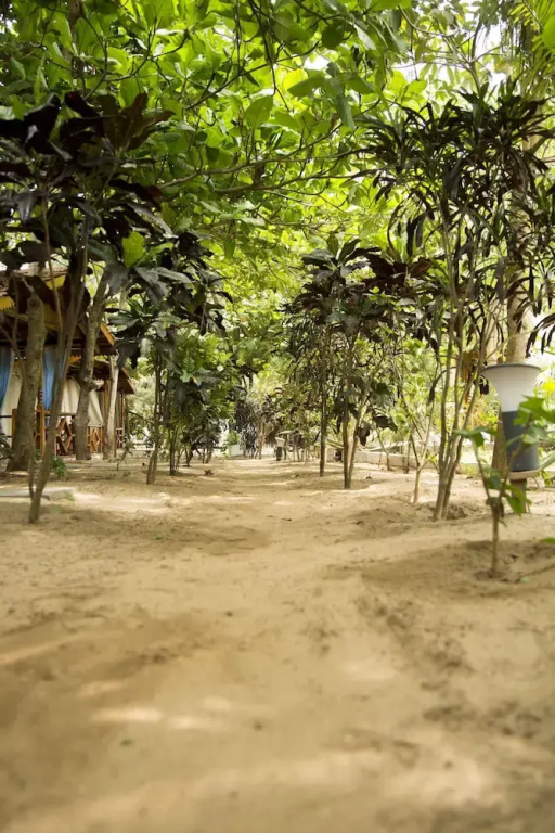 Ramsons Resort - Chambres