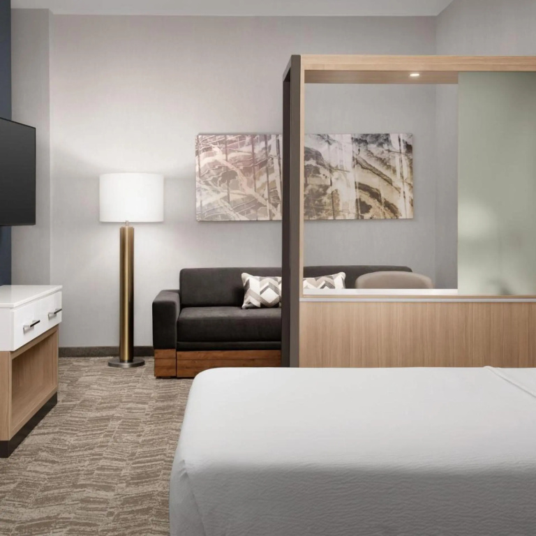 Springhill Suites By Marriott Fayetteville I 95