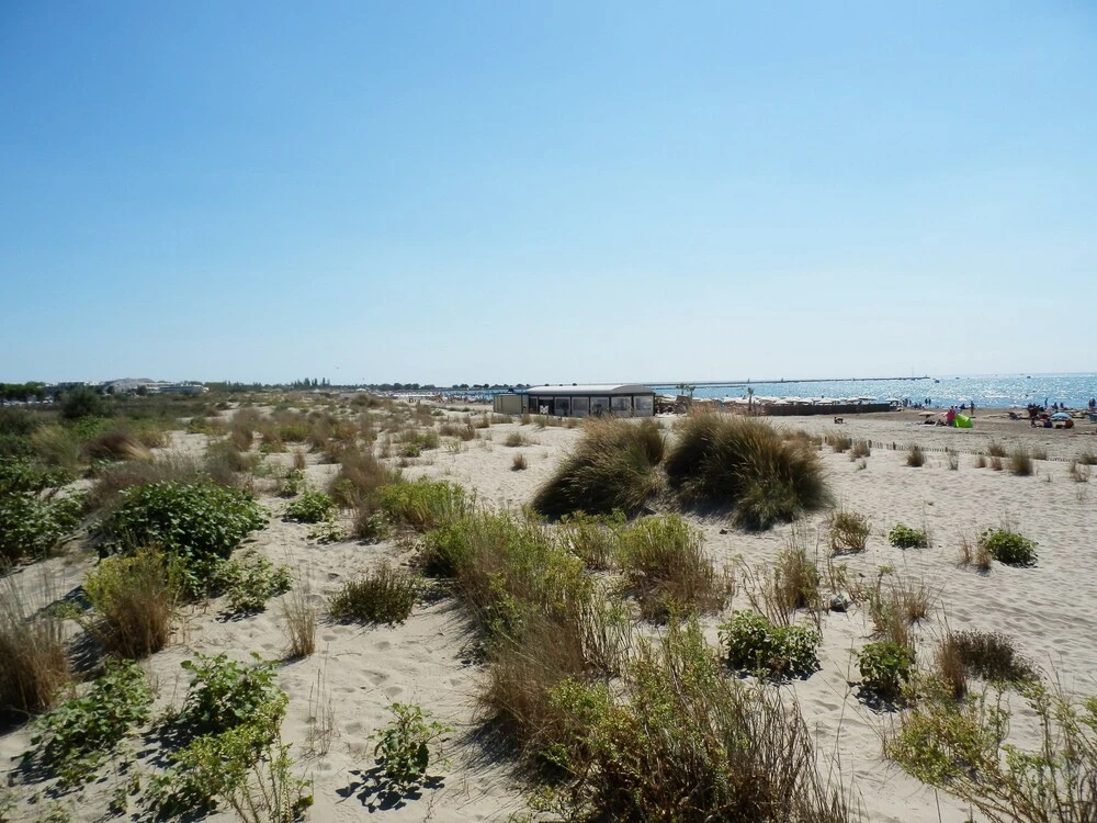 Beach & Waterfront