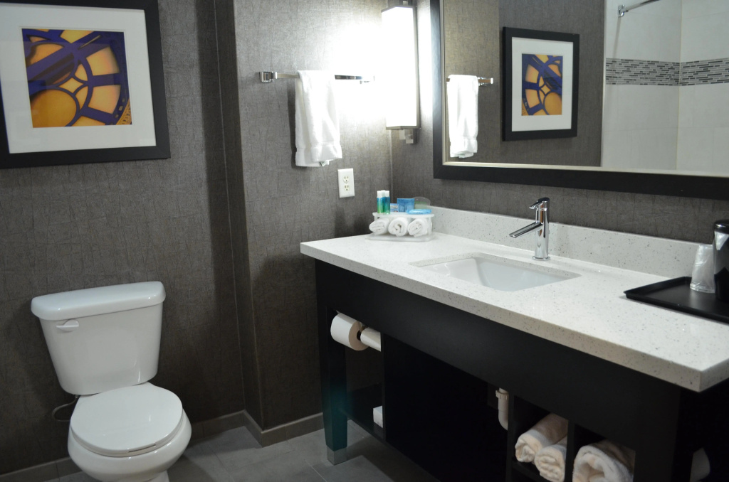 Holiday Inn Longview - North by IHG - Général