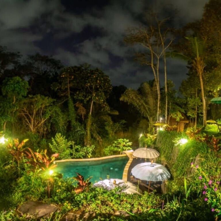 gallery_image_hidden_12