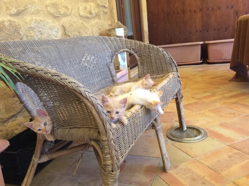 Hotel photo 22