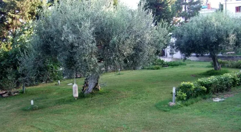 B&B Bentu Estu