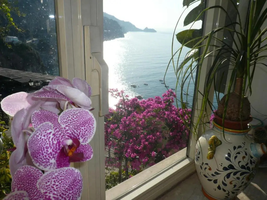 Balcony & Terrace