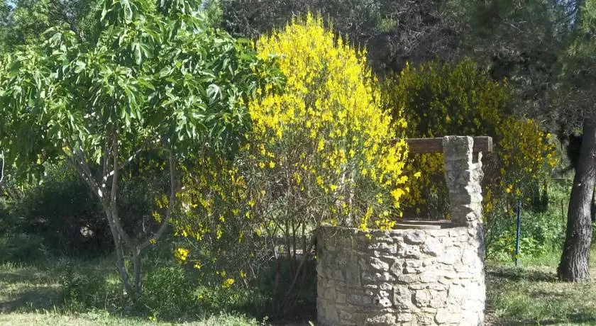 B&B Le Petit Frigouyé