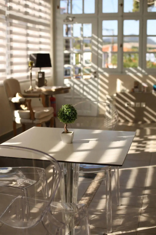 Ikion Eco Boutique Hotel - Général