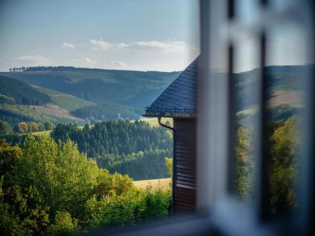 Hotel Waldhaus Ohlenbach - Général
