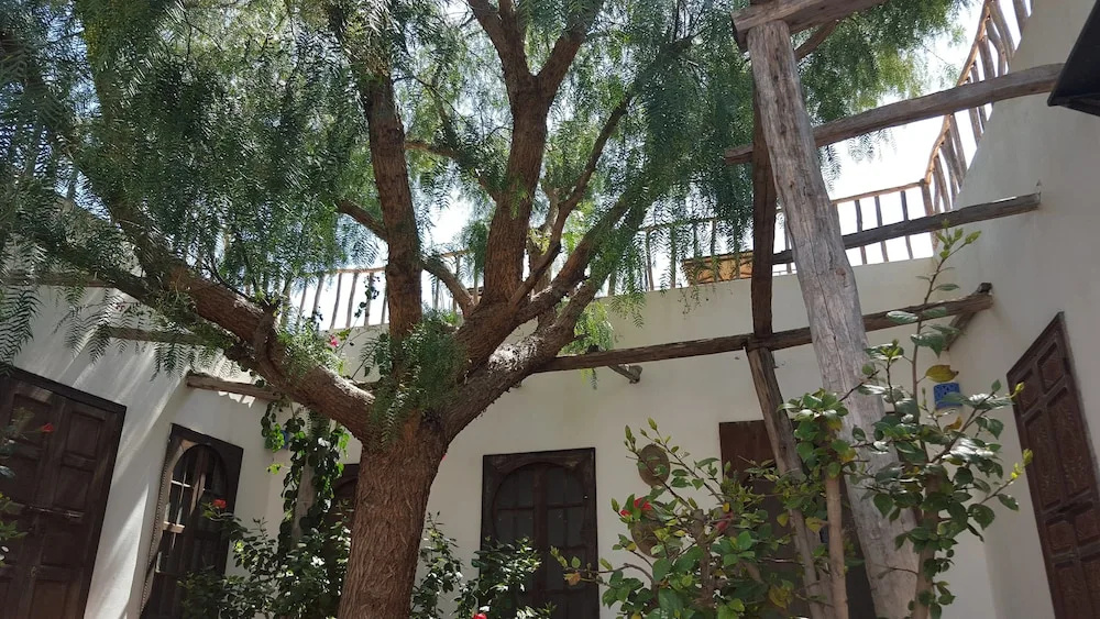 La Maison D'Hortense - фото 10