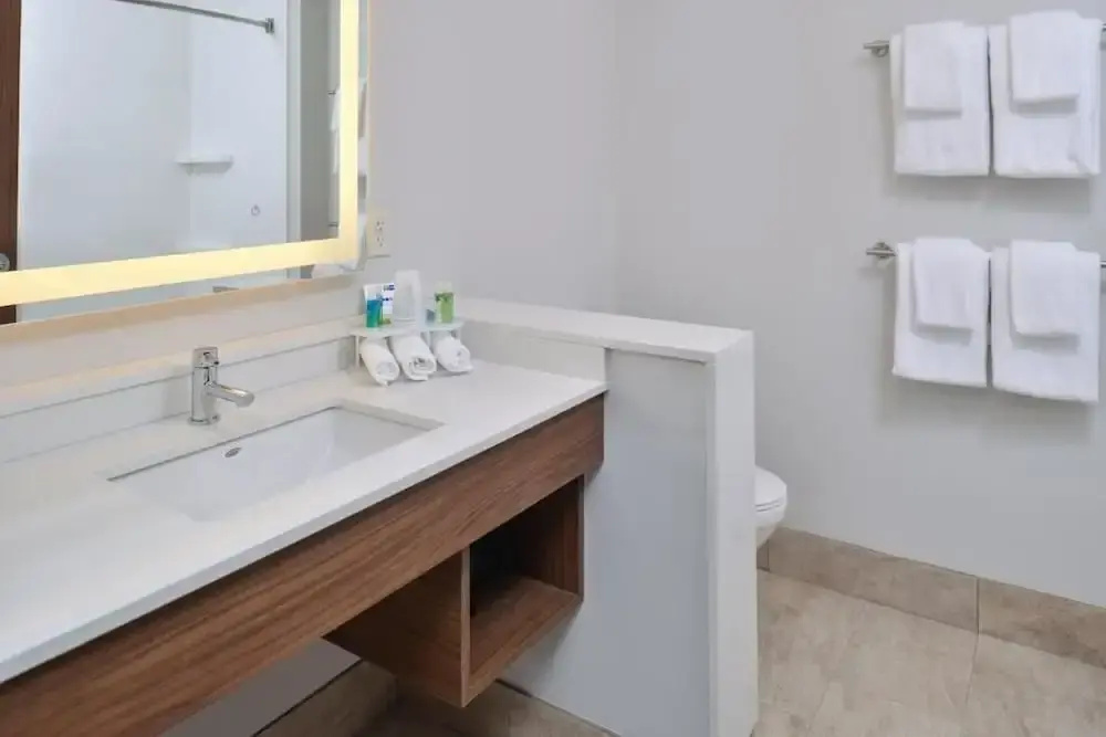 Holiday Inn Express & Suites Farmington Hills - Detroit by IHG - Chambres