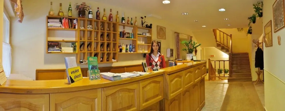 Hotel Corvin - Général