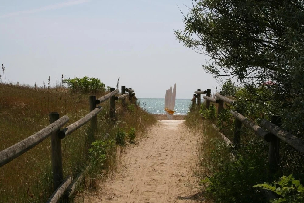 Beach & Waterfront