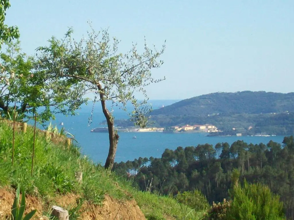 5 Terre - B&B La Giuditta - La Spezia