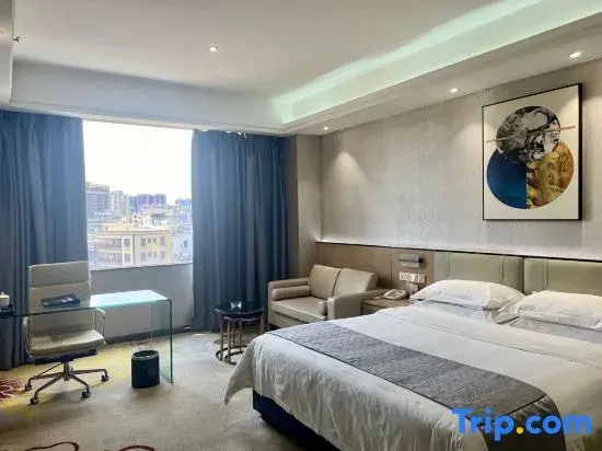 Standard Double room with city view (full double bed)
