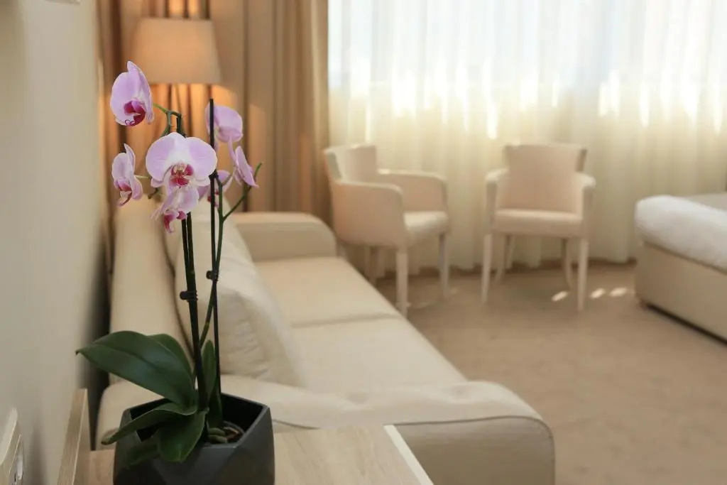 Hotel Leone - Chambres