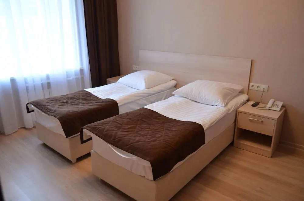 Standard Double room (twin beds)