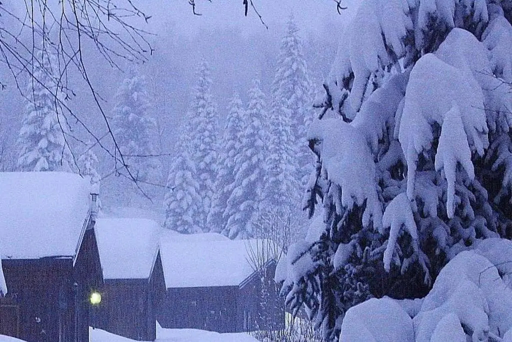 Duplex Chalet